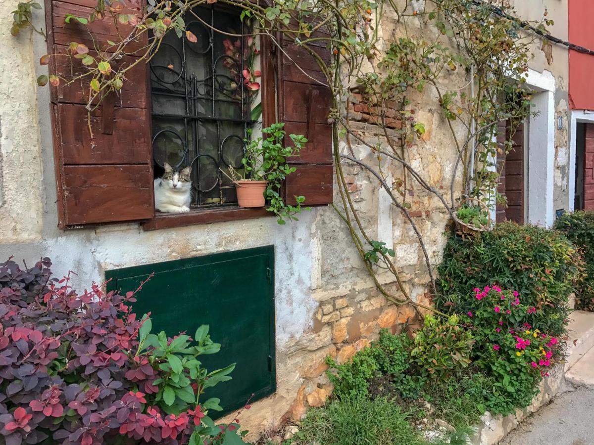 Charming In Heart Of *