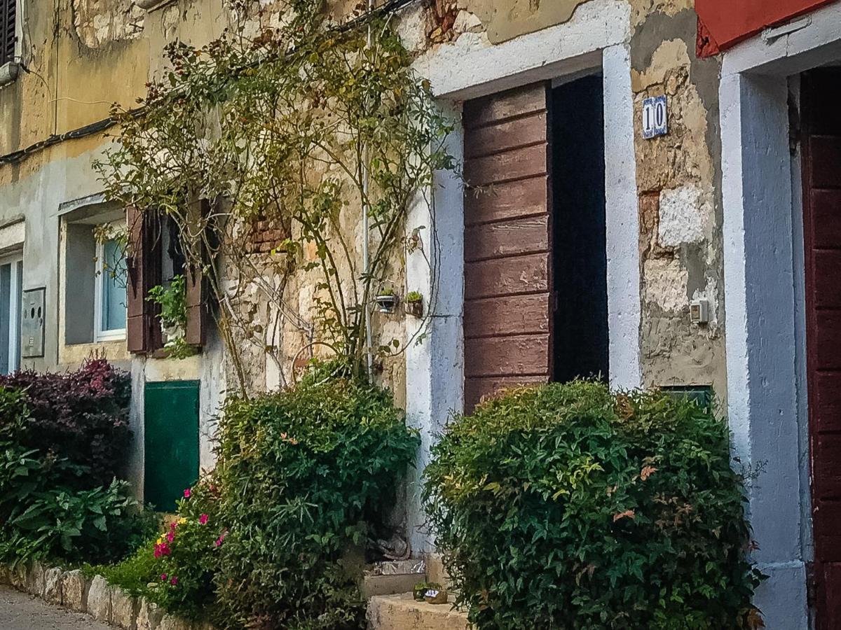 Appartement Charming In Heart Of